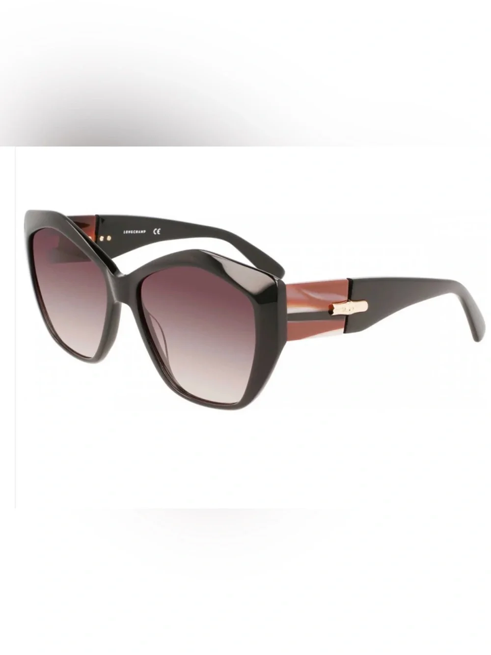 Longchamp Black Frames with Brown Gradient Temples Women's Sunglasses